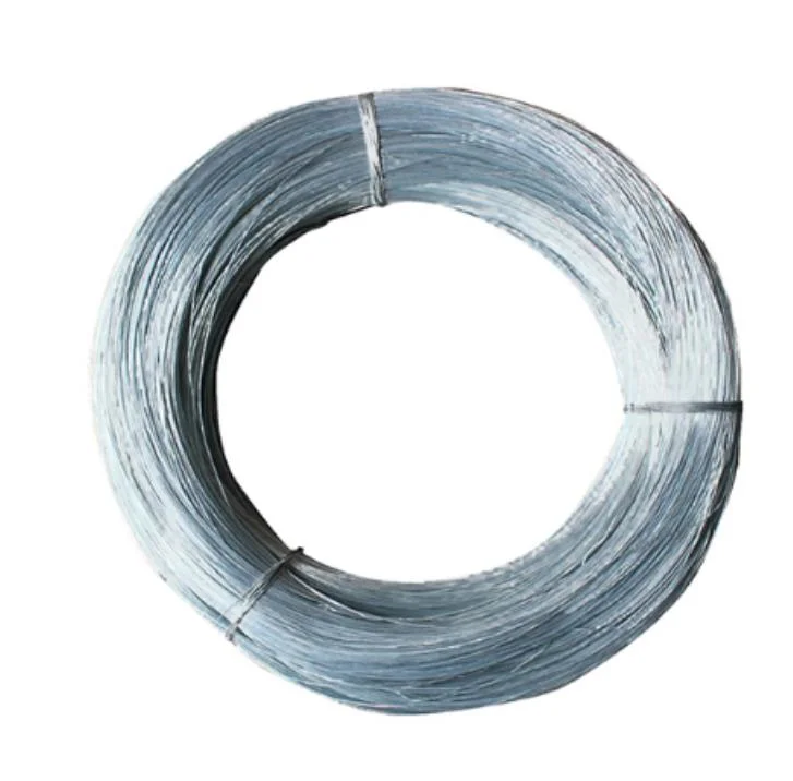 302 304 304L 316 316L Stainless Steel Inox Spring Metal Wire