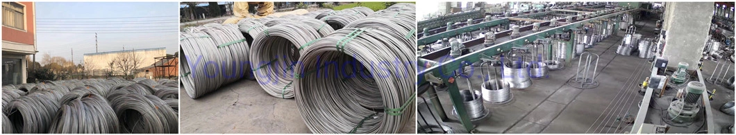 304 316 Stainless Steel Wire Ropes for Marine