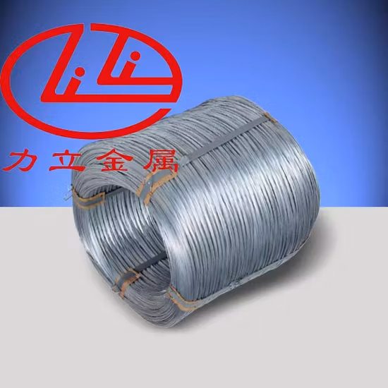 SUS316 0,3–4 mm Edelstahldraht